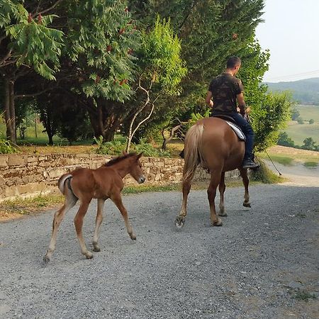 Agriturismo Corte Del Gallo リヴェルガーロ エクステリア 写真