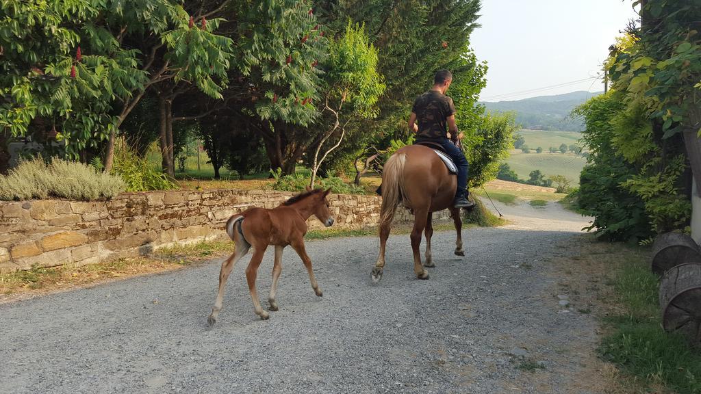Agriturismo Corte Del Gallo リヴェルガーロ エクステリア 写真