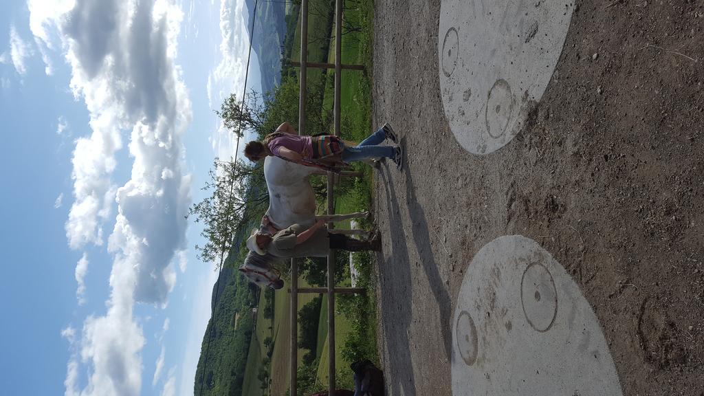Agriturismo Corte Del Gallo リヴェルガーロ エクステリア 写真